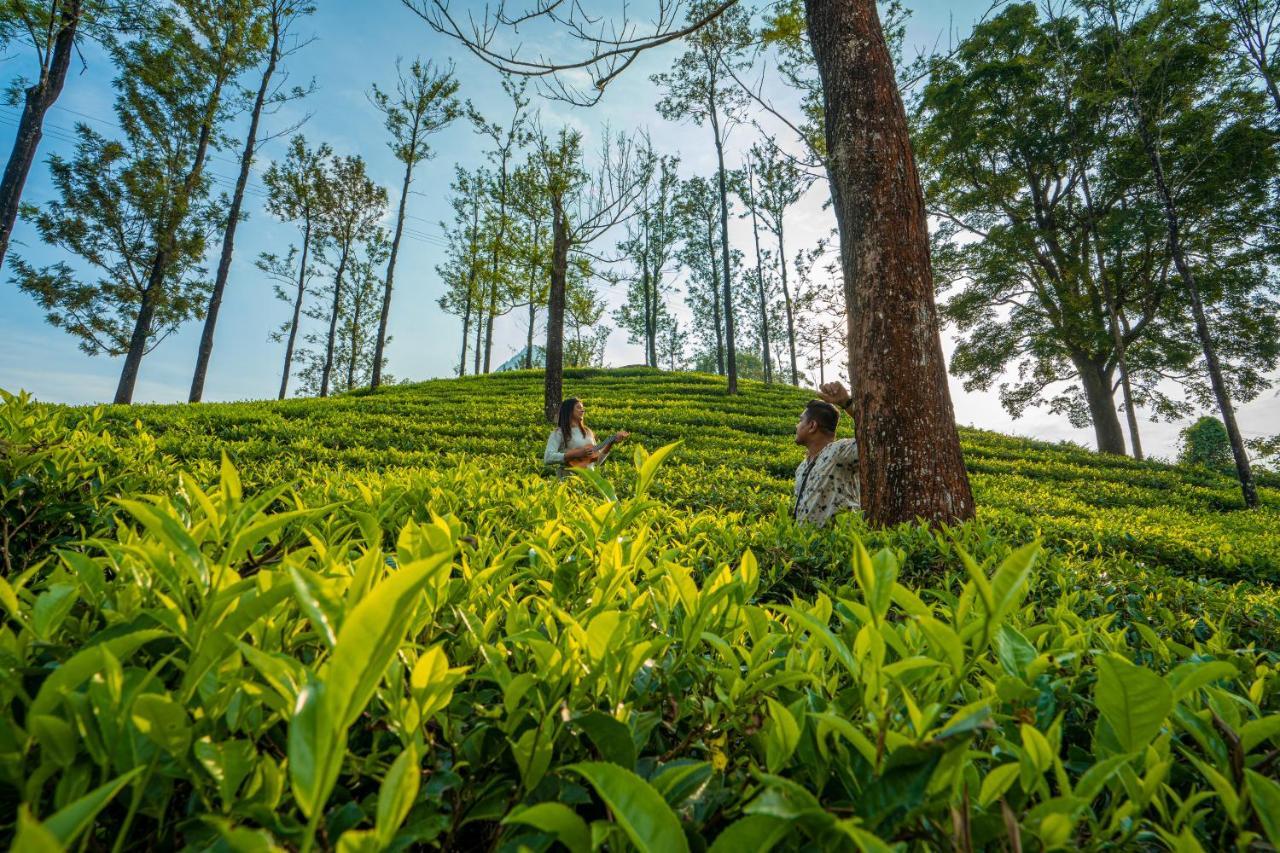 Zostel Plus Wayanad Kalpetta Exterior photo